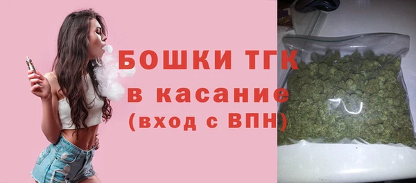 дмт Заводоуковск