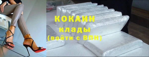 дмт Заводоуковск